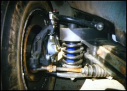 mustang2.jpg
